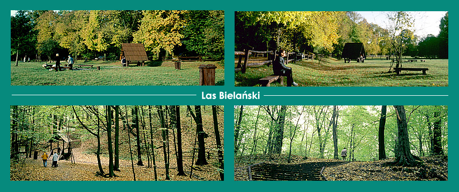 Zdjęcia Lasu Bielańskiego